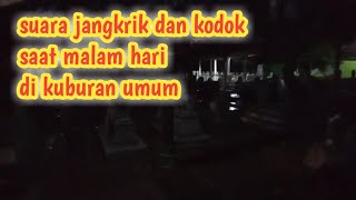 Suara jangkrik dan kodok saat malam hari di kuburan umum
