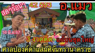 42 593 อาจารย์แมว เข้า 3 งวดติด แก้บนชุดใหญ่ ศาลปู่องค์ดำแสนศิริจันทรานาคราช งวดนี้ตามต่อ 16 มิ.ย.67