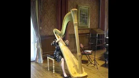 "Somewhere in Time" performed on the harp by Debra...