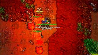 Tibia Elysia Pk