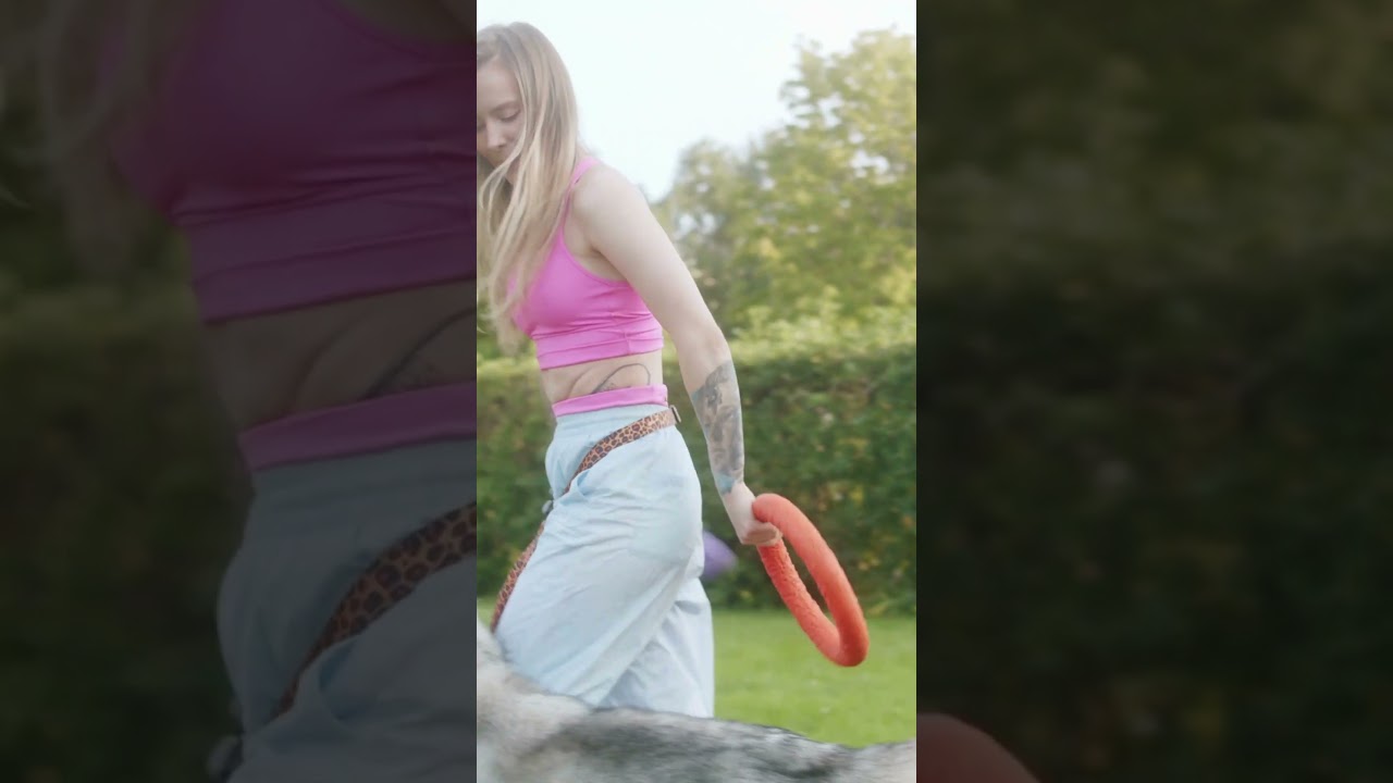 Life Lessons We Can Learn from Dogs