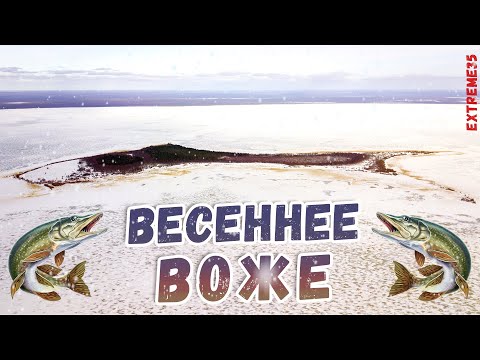 Видео: На озеро Воже по последнему льду / To Lake Vozhe on the last ice