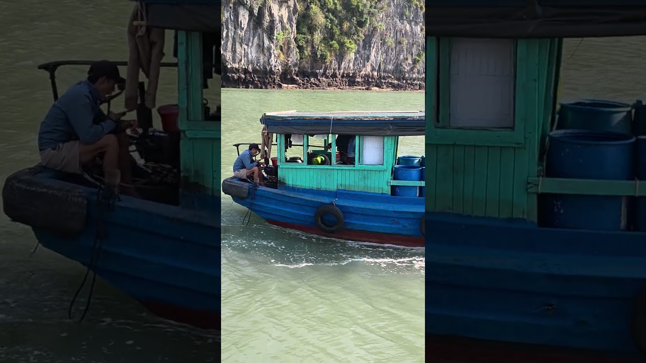 Трахть - тире - Тибидохть 😀 