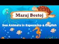 Maraj Bestoj - Sea Animals in Esperanto & English