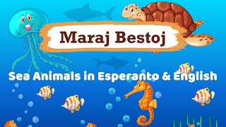 Maraj Bestoj – Sea Animals in Esperanto & English