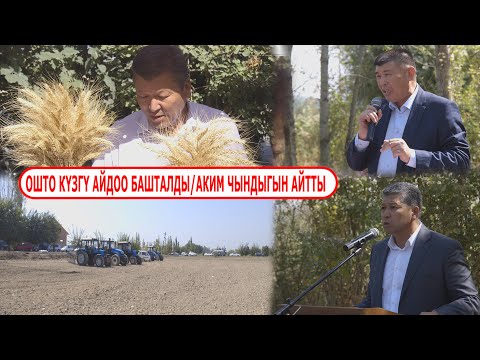 Video: Күзгү айдоо