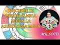 Descubre tu misión álmica según la Astrología Maya| Mk Soto