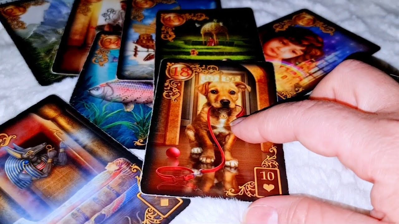 💃URGENTE VOCÊ PRECISA SER LOGO AVISADA DISSO