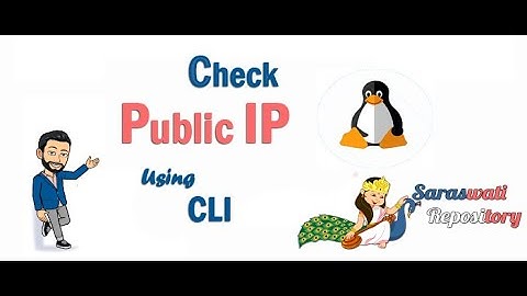 How to Check Public IP Address in Linux using CLI? | Saraswati Repository