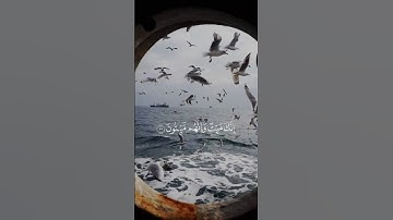 آيات القرآن الكريم للتغلب على الحزن والهموم"