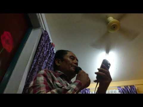 Lagu pucuk pisang