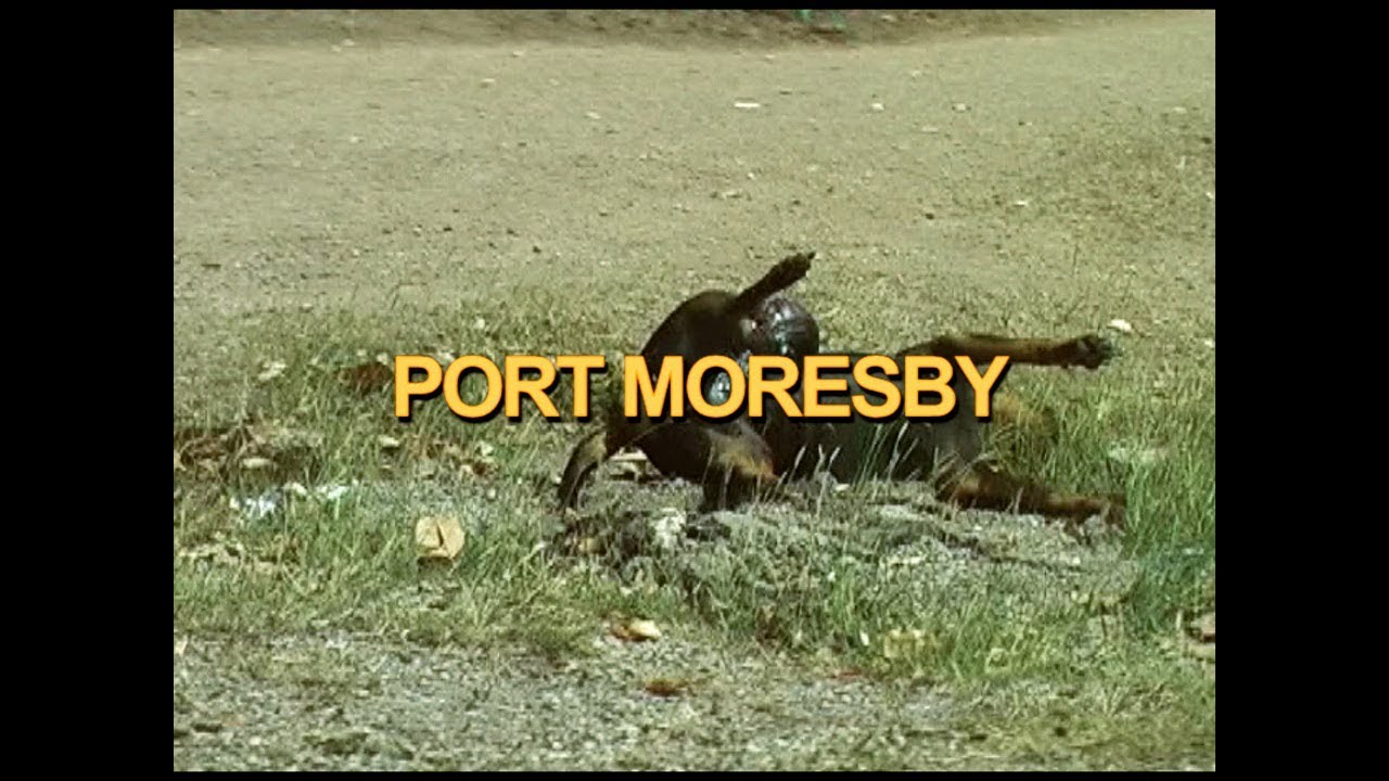 PORT MORESBY one of the most dangerous cities in the world Filmed