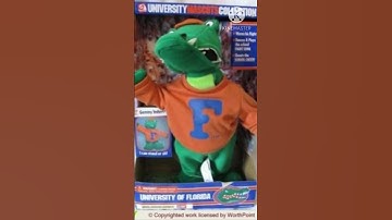 If The Gemmy 2001 UMC Florida Gators Did The Program Data Glitch #gemmy #glitches #shorts