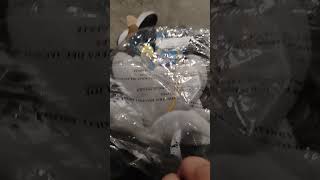 silver the hedgehog plush unboxing