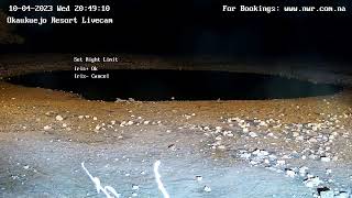 Okaukuejo Resort, Wildlife Waterhole: Live camera stream in the Etosha National Park in Namibia