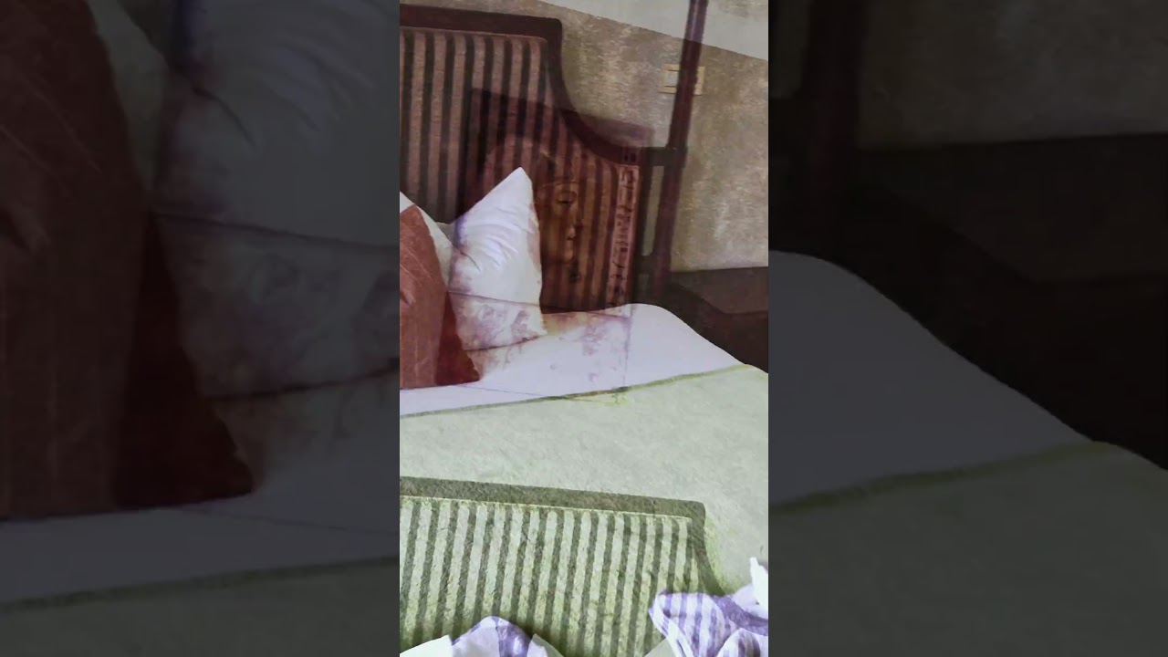 Welnes Hotel Beethoven Chomutov 22/02/2025 part.I