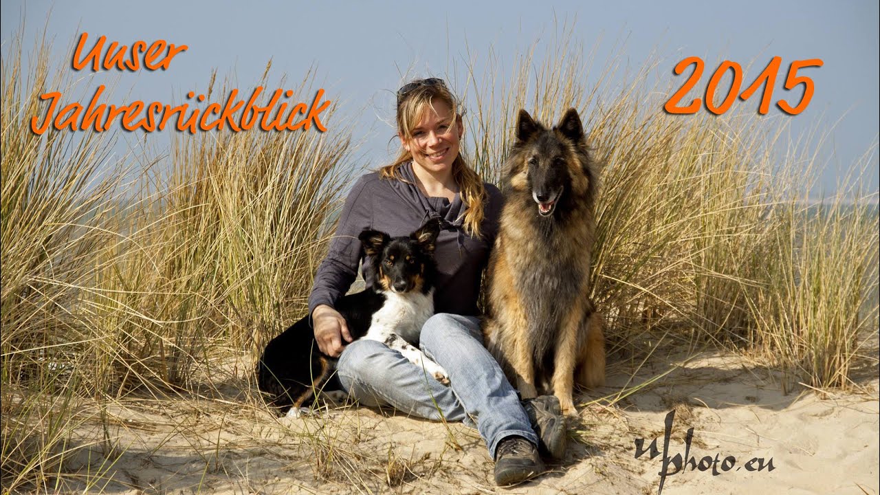 °°Jahresrückblick 2015°° - Mona Grefenstein mit Page & Qju - unser Agility Jahr