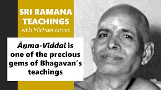 2025-08-31: Chicago Ramana devotees: Āṉma Viddai is one of the precious gems of Bhagavan’s teachings