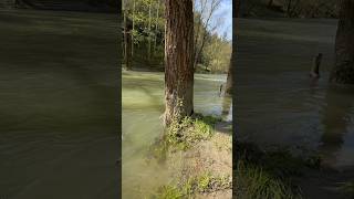 %90 Bu Vi̇deoda Gi̇zli̇ Canliyi Göremi̇yor