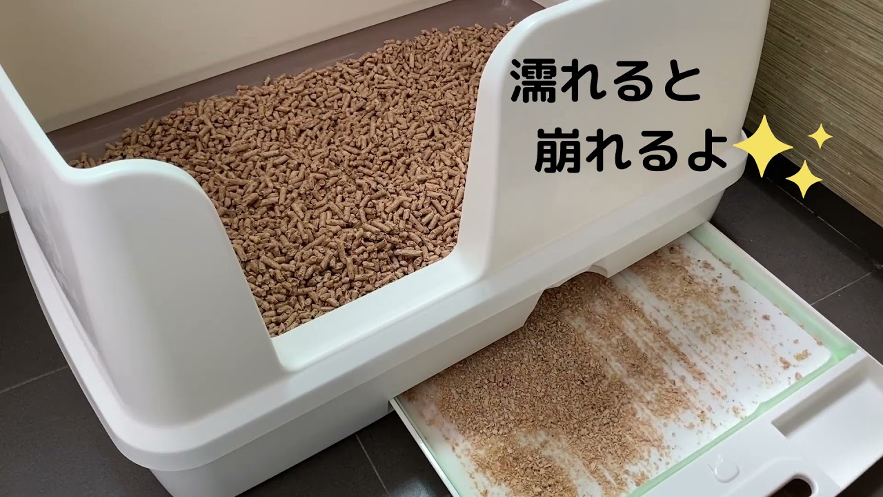 添加物不使用の安心 安全で高い消臭効果の国産ひのきの猫砂 Soai Forest