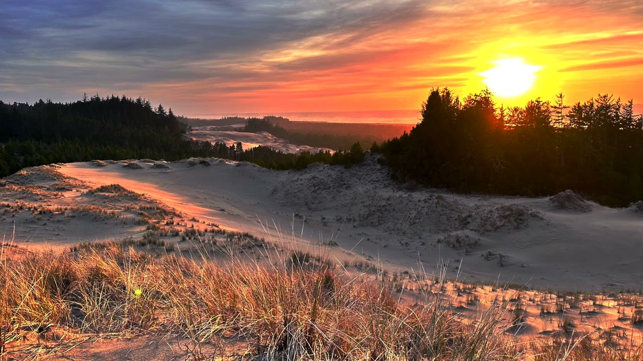 Lyle Divinsky - "Falling by the Wayside" (Full Stream)