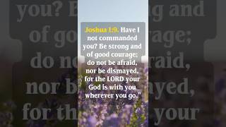 “Be strong and courageous. God is with you wherever you go. 🤍Joshua 1:9”