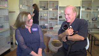AnimalZone - Season 3, Episode 4 Featuring AFRP, The Wallis Annenberg PetSpace and Pet Partners by Animal Zone 174 views 4 years ago 30 minutes