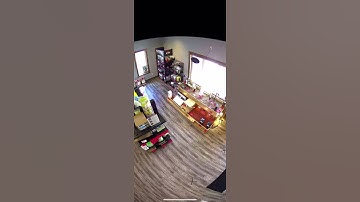 Using the DW Spectrum Mobile app with a fisheye uniview camera!