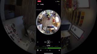 Using the DW Spectrum Mobile app with a fisheye uniview camera! screenshot 1