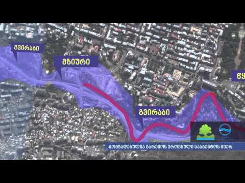 სტიქიის განვითარების გრაფიკა