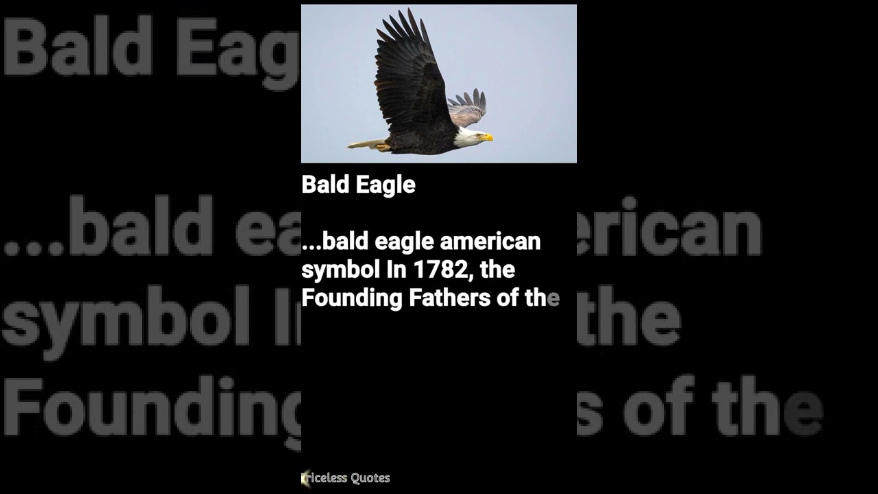 American history symbols।symbols in American culture।