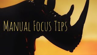 MANUAL FOCUS | 5 Tips For Better Videos