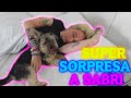 Il mio FIDANZATO mi fa una SUPER SORPRESA!!  😍