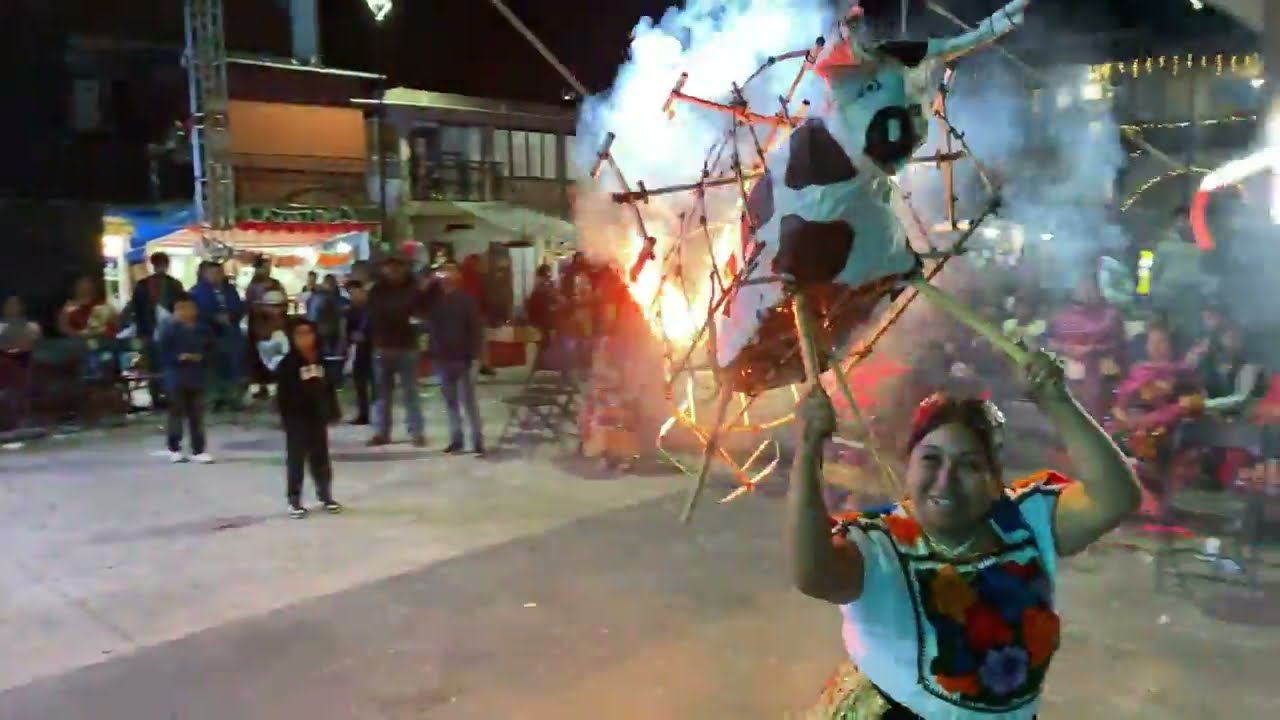 LA FIESTA DEL CARNAVAL 2026. 16 DE FEBRERO PARTE 4