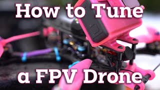 How to Easily Tune a FPV Drone..or not.. (TBS Source One 5)