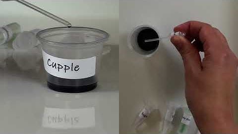 Video Lab | Keeping a Balance | Homeostasis and Negative Feedback