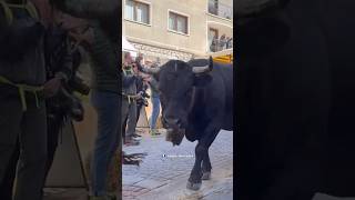 Cogne Devétéya | Cow Parade 🐮