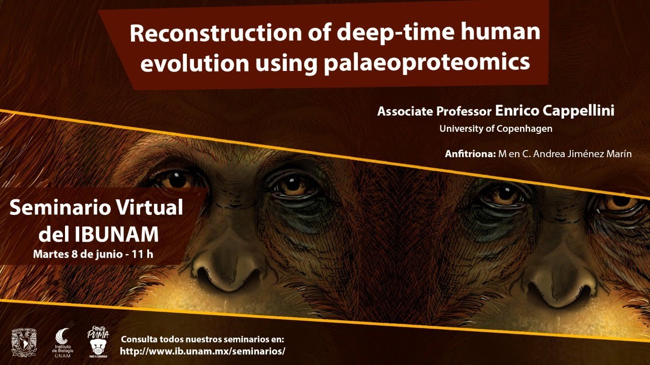 Reconstruction of deep-time human evolution using paleogenomics - YouTube