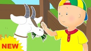 NEW! CAILLOU AT THE FARM | Videos For Kids | Funny Animated Videos For Kids | Cartoon movie