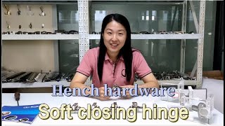 Hj816 Clip On Soft Closing Furniture Kitchen Hinge
