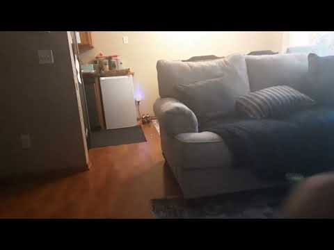 July 29, 2024 July 29, 2024