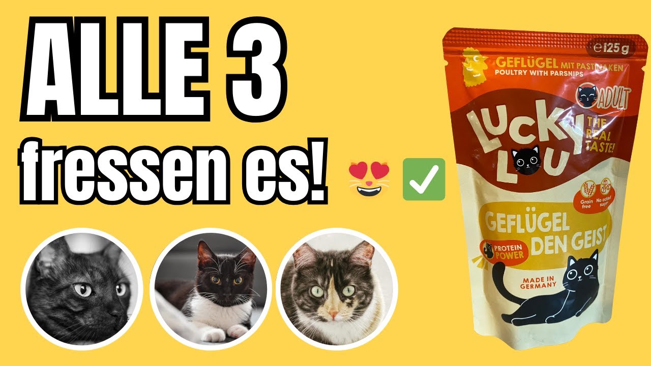➡️ „Lucky Lou im Test – Alle 3 Katzen fressen es sofort! 😻✅“