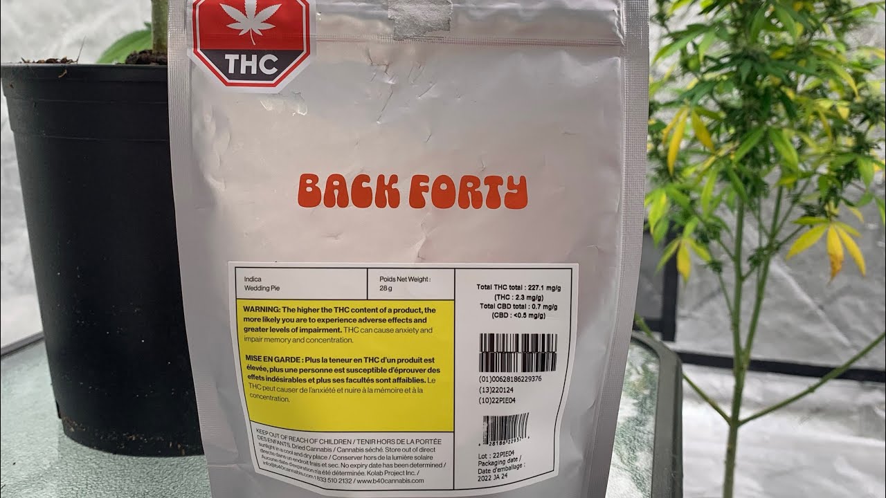 BACK FORTY “WEDDING PIE” WEED REVIEW