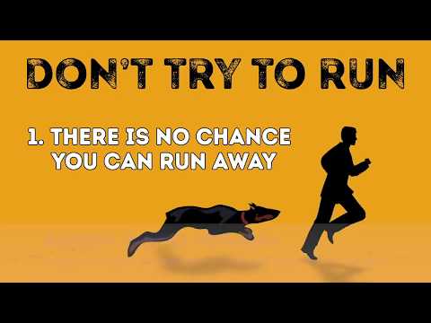 როგორ მოვიქცეთ ძაღლის თავდასხმისას