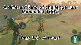 Minimalist 100% Part 12 - Arrows!