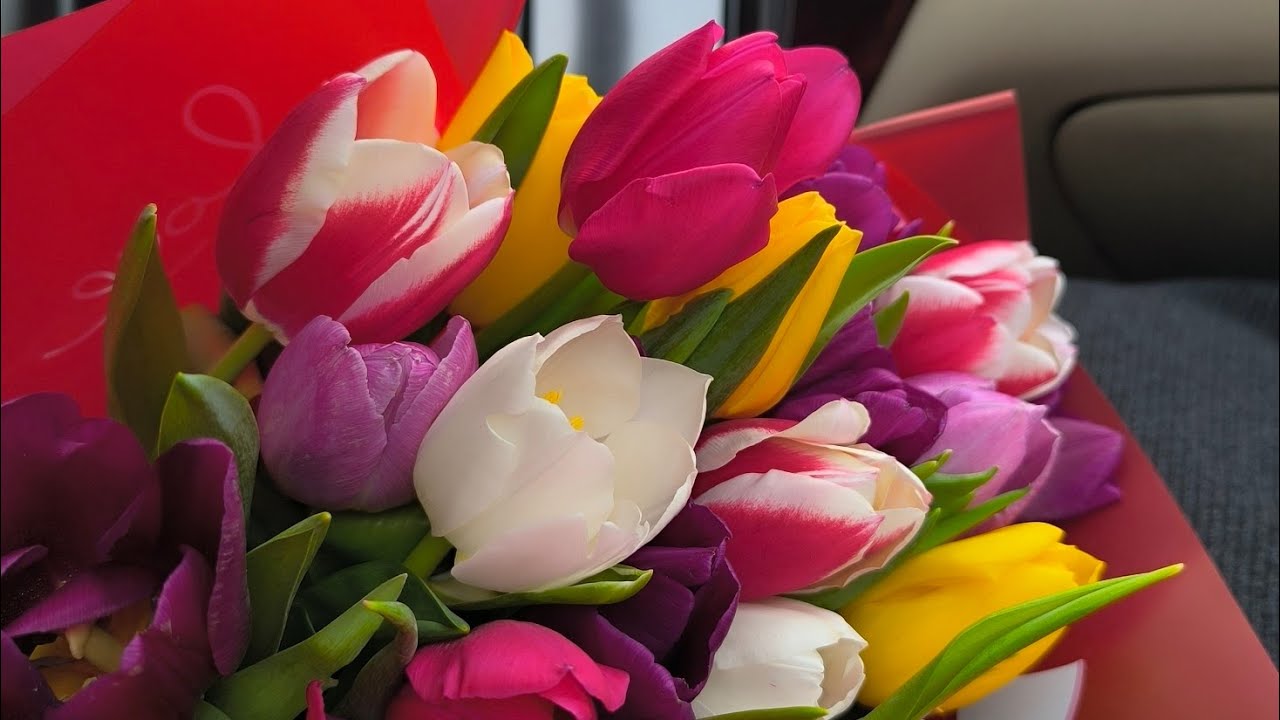 Dünya kadınlar günü kutlu olsun ❤️