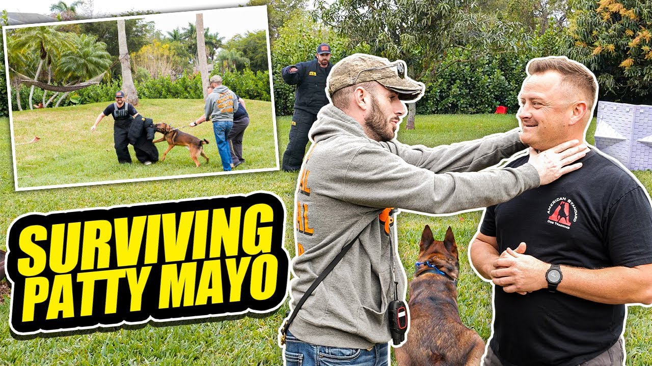 Taking a BITE from Patty Mayo's BELGIAN MALINOIS PetsBlogLive