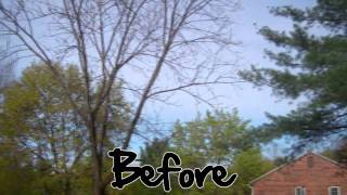 Flip Video Recorder Quality Test + Color Correction screenshot 4