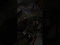 #lastofus #lastofusgameplay #gaming