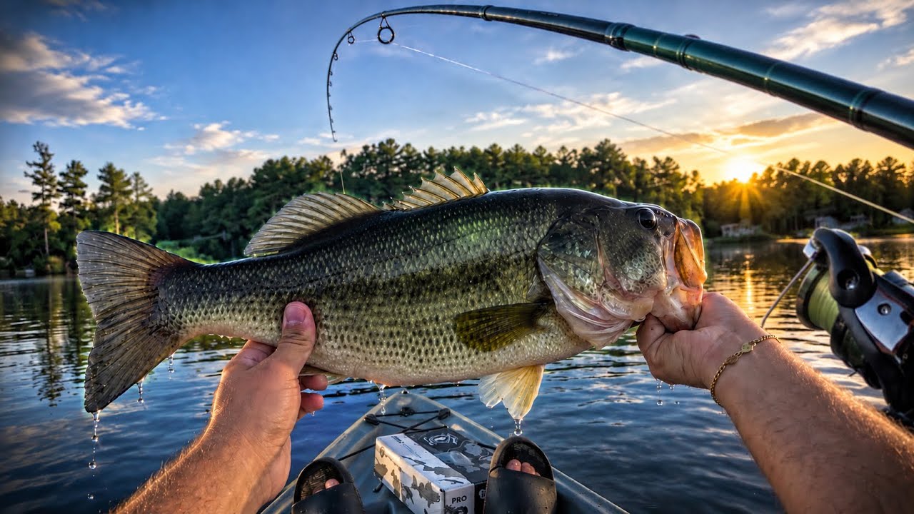 Chasing BIG Bass in Massachusetts | Late Summer Fishing